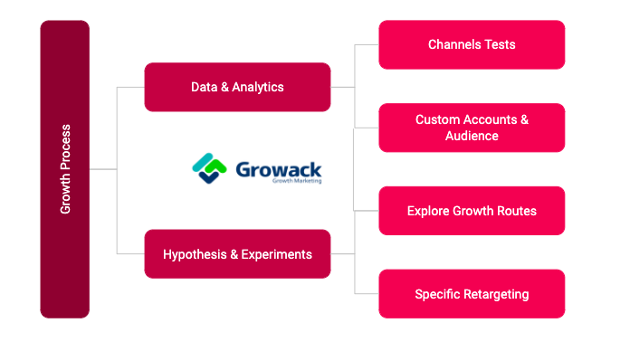 Integrated Growth Process